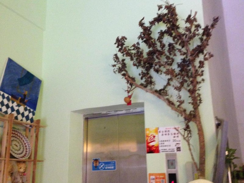 酒店大堂