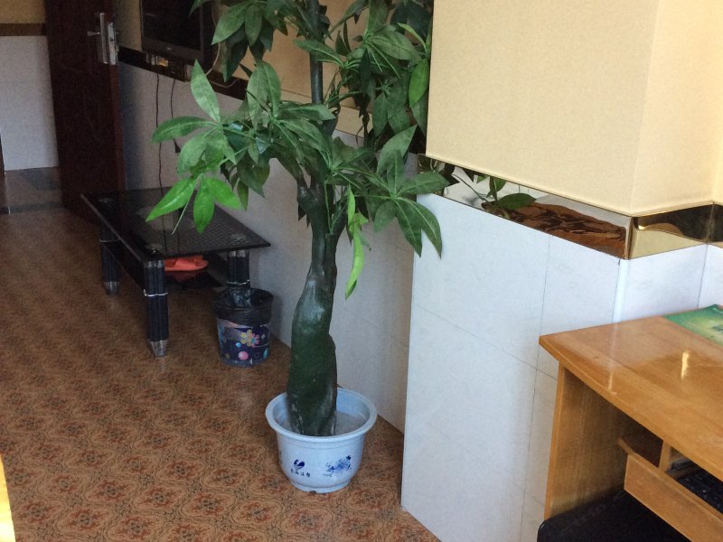hotelPic