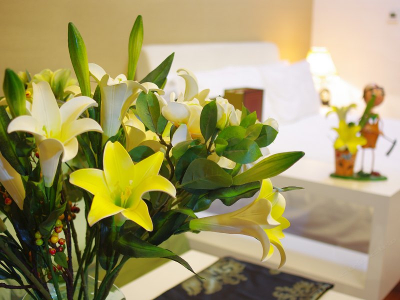 hotelPic