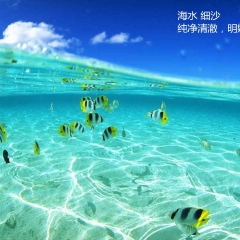 小交通模块 