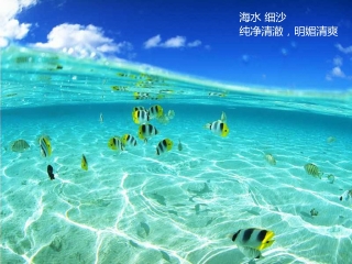 旅行團(tuán)沙巴游_沙巴旅游7日游_沙巴6日游多少錢(qián)