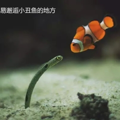 小交通模块 