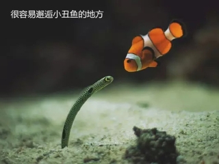 旅行團(tuán)沙巴游_沙巴旅游7日游_沙巴6日游多少錢(qián)