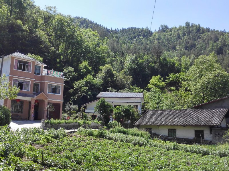 重庆竹林村农家乐经济型