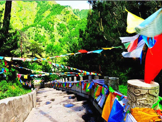 怎么去山西太原旅游_山西太原游花多少錢_到山西太原旅游