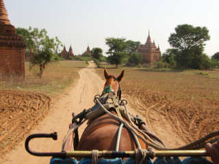 到緬甸旅游_報團去緬甸多少錢_緬甸旅游團報價2021
