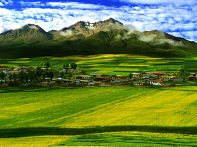 <西宁+塔尔寺+青海湖+茶卡盐湖+祁连卓尔