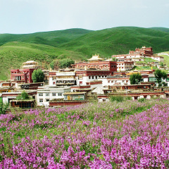 景点模块 