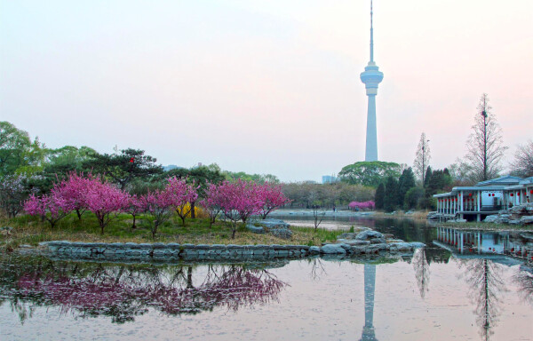 玉渊潭公园