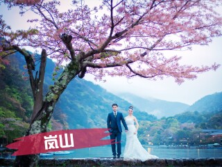 最美日本婚纱照,樱花盛开的时节,拍最美日本婚纱摄影
