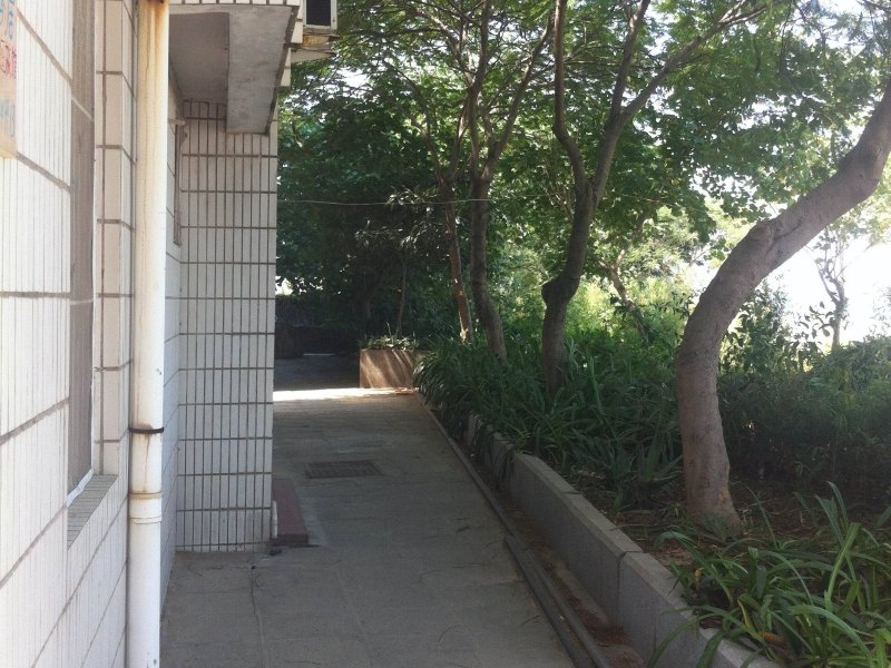 厦门鼓浪屿小璇子海居家庭旅馆