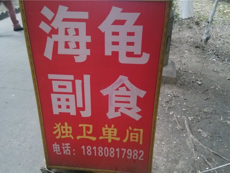 海龟公寓（成都竹苑店）
