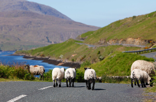 国庆节去巴基斯坦穿衣指南_国庆节去巴基斯坦
