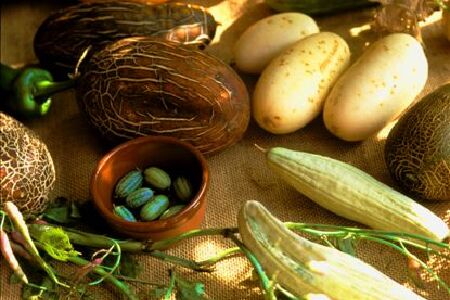 food_picture