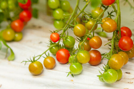 food_picture