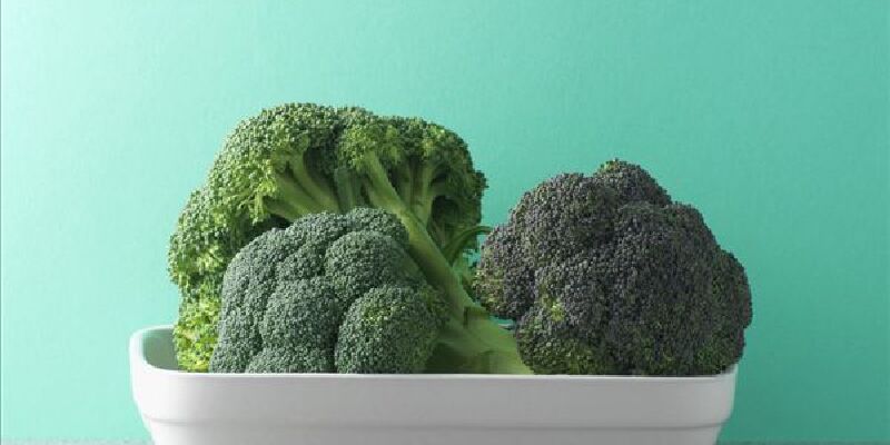 乐清花椰菜价格_专卖店_哪里买