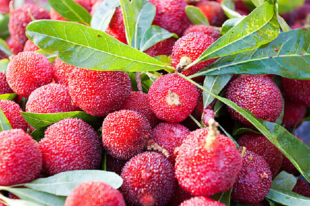 food_picture