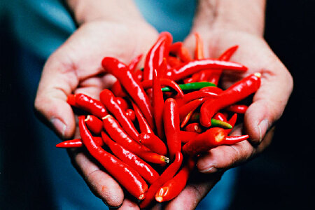 food_picture