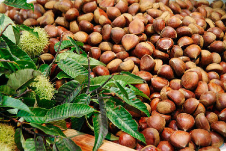 food_picture