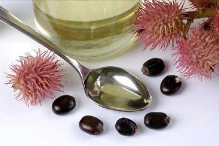food_picture