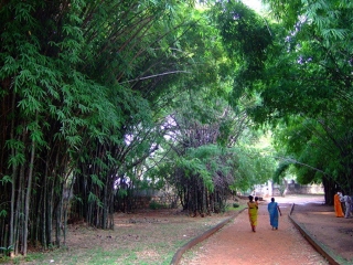 印度游報(bào)價(jià)_組團(tuán)去印度_旅游團(tuán)印度
