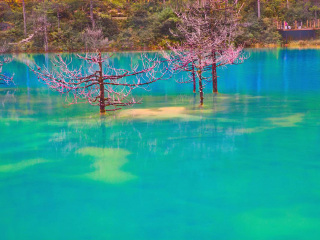 云南华欣跟团游_去云南旅游团价格_深圳云南旅游包团