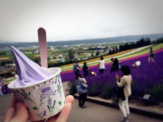 豪华北海道游_北海道游旅游团_北海道高端旅行