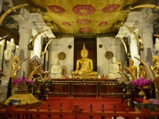 几月去斯里兰卡旅游便宜_斯里兰卡五日游旅行团_斯里兰卡旅游本土