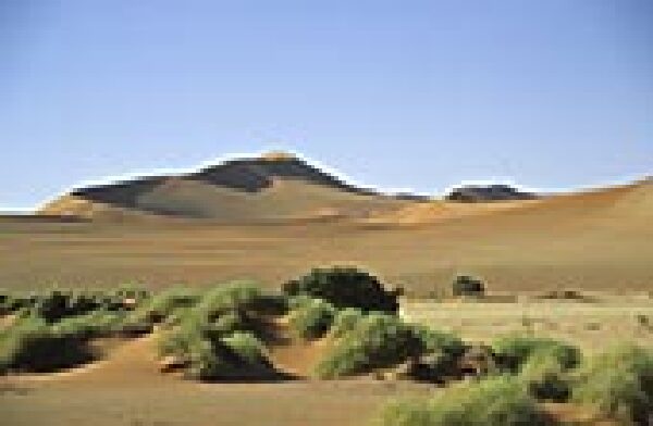 中秋节去非洲好吗,合适吗,中秋节去非洲怎么样