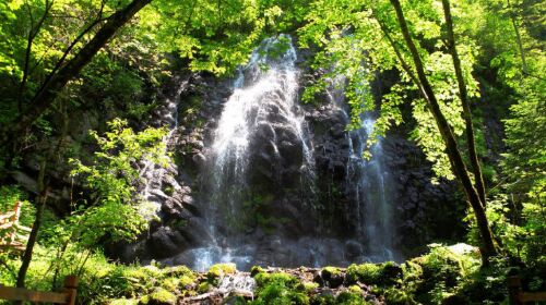 [国庆] 长白山天池-望天鹅景区-万达度假小镇双飞4日游>直飞半跟团,3