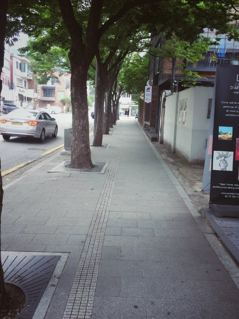 干干净净的林荫街道.