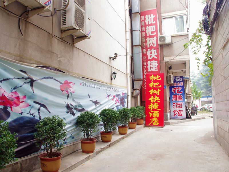 郑州枇杷树快捷酒店