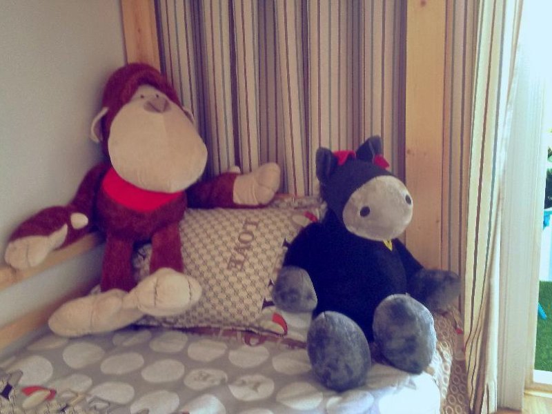 hotelPic