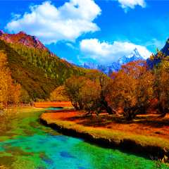 景点模块 