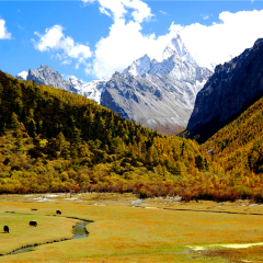 景点模块 