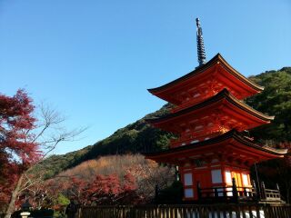 日本6天游_旅游日本跟团_组团日本旅游