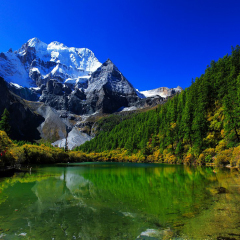 景点模块 