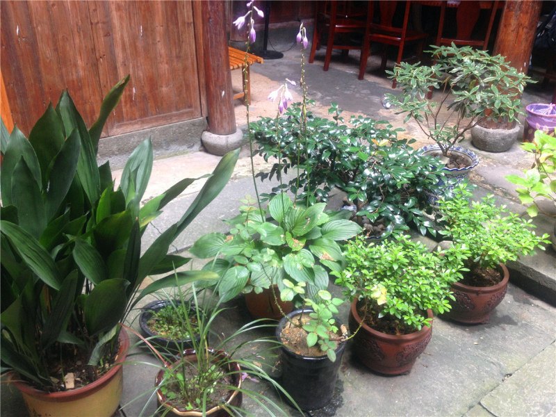 酒店大堂