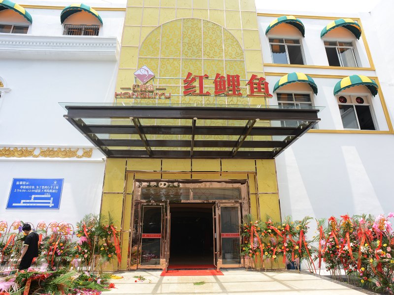 红鲤鱼假日酒店(上海浦东机场店)
