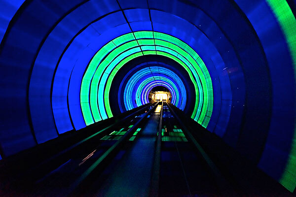 从复旦大学到外滩观光隧道怎么过去_从复旦大学到外滩观光隧道多远_从复旦大学到外滩观光隧道公车线路