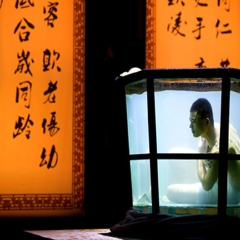 活动模块 