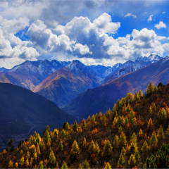 小交通模块 