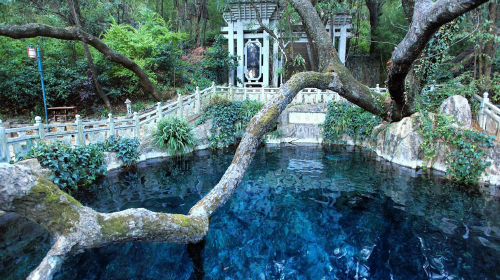 蝴蝶泉
