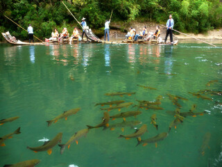 去廈門(mén)鼓浪嶼旅游要多少錢(qián)_現(xiàn)在去廈門(mén)鼓浪嶼旅游多少錢(qián)_到廈門(mén)鼓浪嶼旅游多少錢(qián)