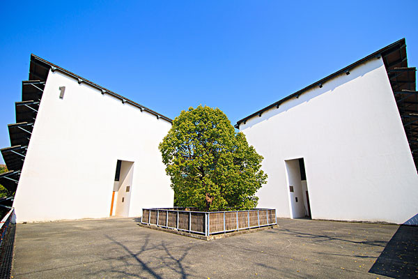 从平湖秋月到中国美院象山校区线路图_从平湖秋月到中国美院象山校区