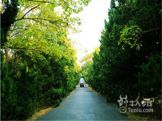 旅游去青島_到青島旅游報(bào)團(tuán)價(jià)格_青島游跟團(tuán)