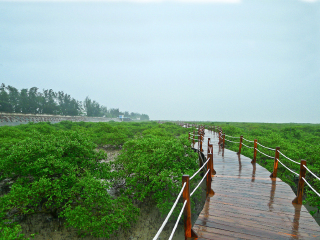 廣西南寧德天大瀑布旅游大約多少錢(qián)_廣西南寧德天大瀑布旅游團(tuán)_東莞到廣西南寧德天大瀑布游