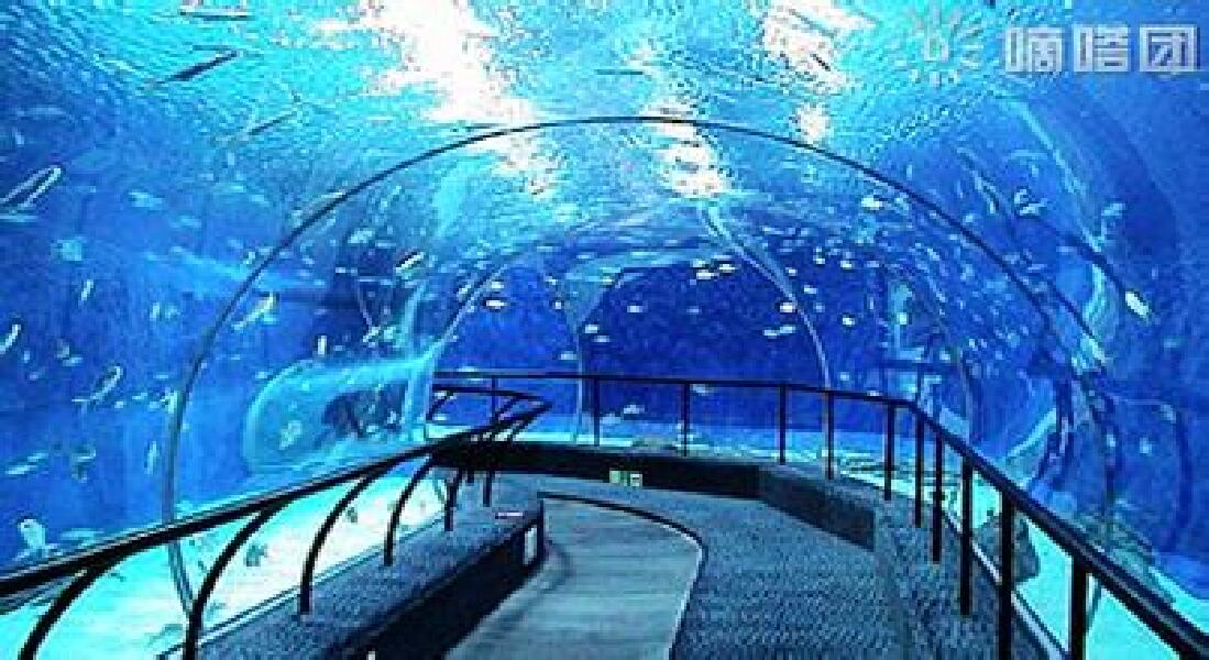  蓬莱极地海洋世界自驾2日游>宿毓璜顶宾馆,穿越海底时光隧道与海洋