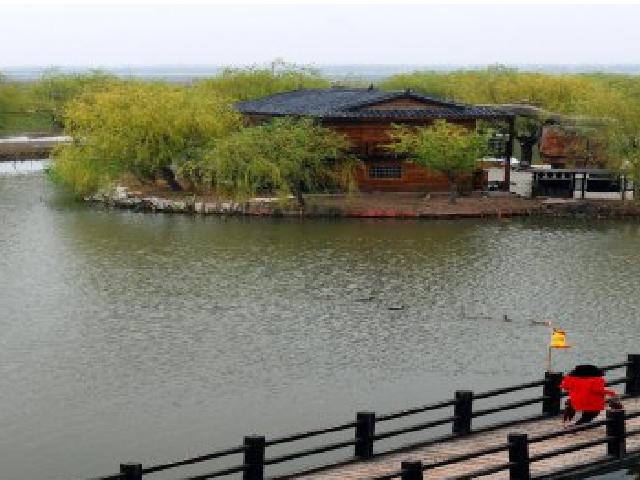 高邮湖芦苇荡湿地公园