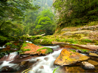 湖南鳳凰古城旅游路線_湖南鳳凰古城游跟團多少錢2021_湖南鳳凰古城旅游需要多少錢